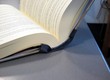 Het inslaan van het leer